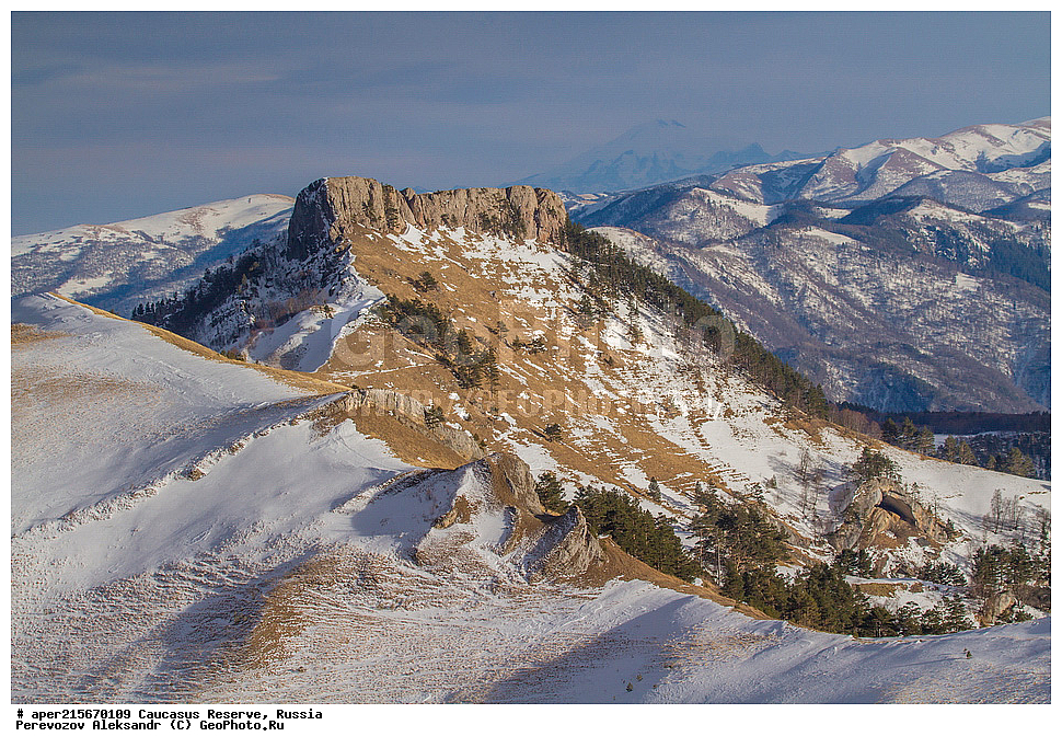 ������������� ����, ���������� ������, ���������-���������� ����������, ������, ���, ������, �������� ������, ������, ���������� ��������������� ����������, ���������� ��������������� ��������� ���������� ���������� ����� �. �. �����������, ����, ������, ���� �����, ����, �������