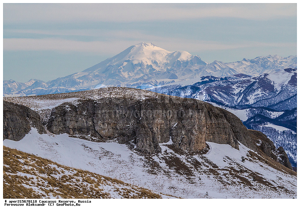 ������������� ����, ���������� ������, ���������-���������� ����������, ������, ���, ������, �������� ������, ���������� ��������������� ����������, ���������� ��������������� ��������� ���������� ���������� ����� �. �. �����������, �������, ����, ������, ������