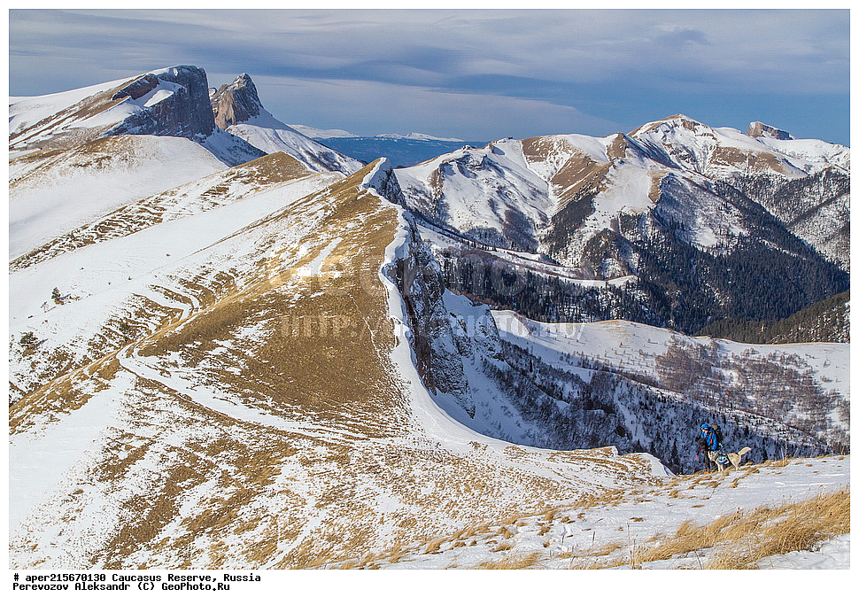 ������������� ����, ���������� ��������, ������, ����, ������, ������, �����