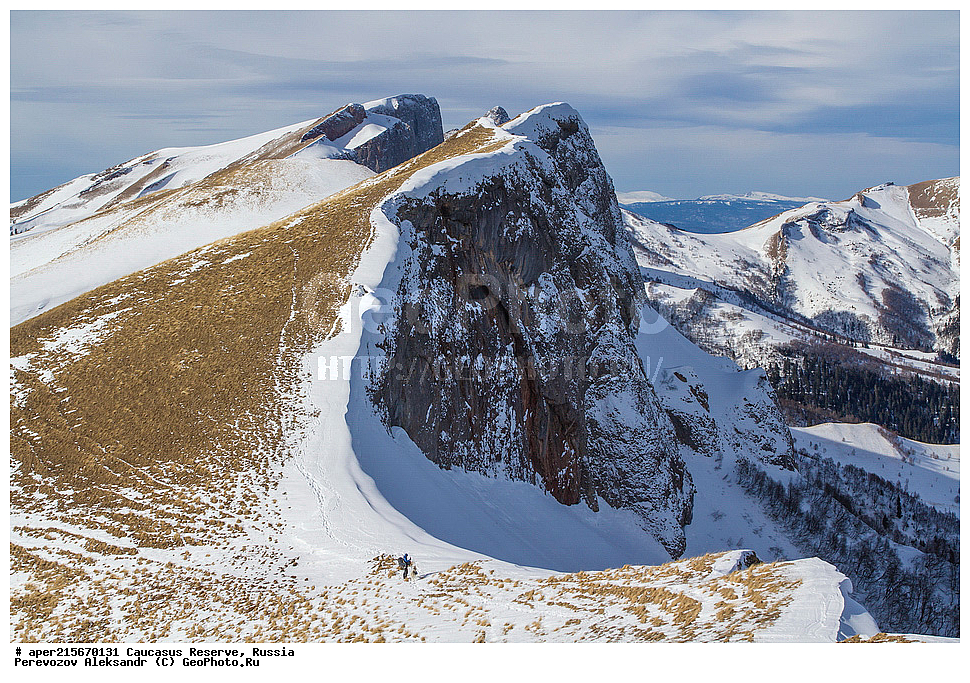 ������������� ����, ���������� ��������, ������, ����, ������, ������, �����