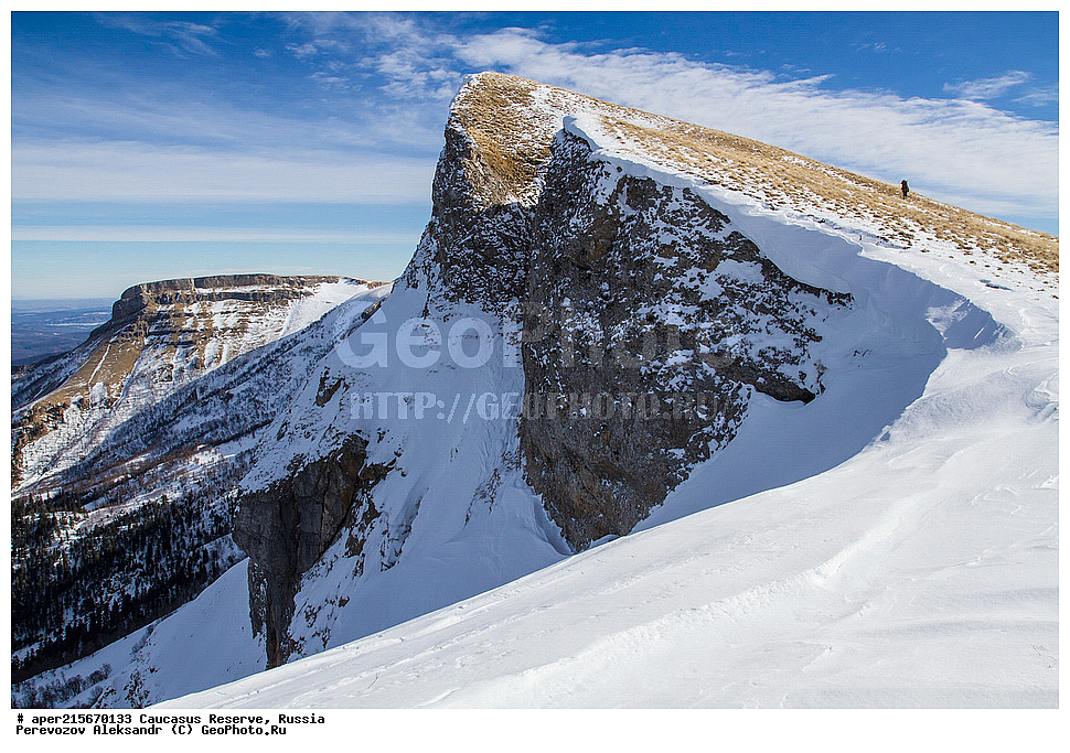 ������������� ����, ���������� ��������, ������, ����, ������, ������, �����