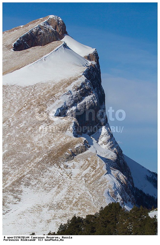 ������������� ����, ���������� ��������, ������, ����, ������, ������, �����