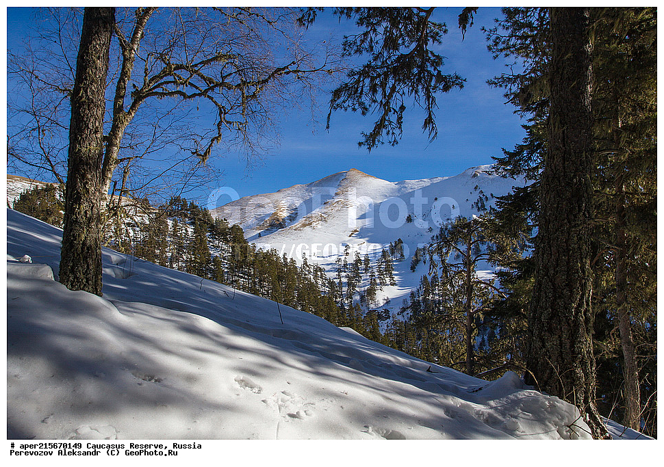 ������������� ����, ���������� ��������, ������, ����, ������, ������, �����