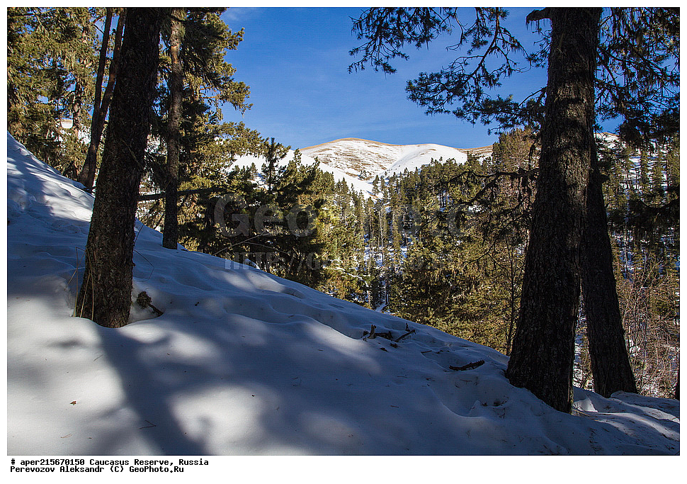 ������������� ����, ���������� ��������, ������, ����, ������, ������, �����