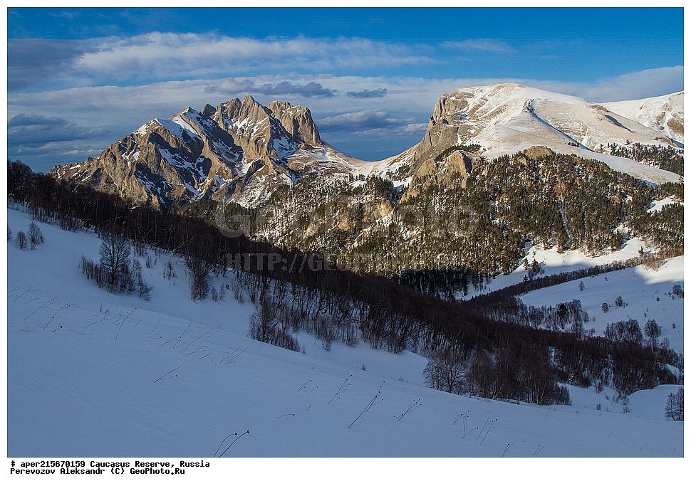 ������������� ����, ���������� ������, ���������-���������� ����������, ������, ���, ������, �������� ������, ���������� ��������������� ����������, ���������� ��������������� ��������� ���������� ���������� ����� �. �. �����������, �������, ������� ������, ����, ������, ������