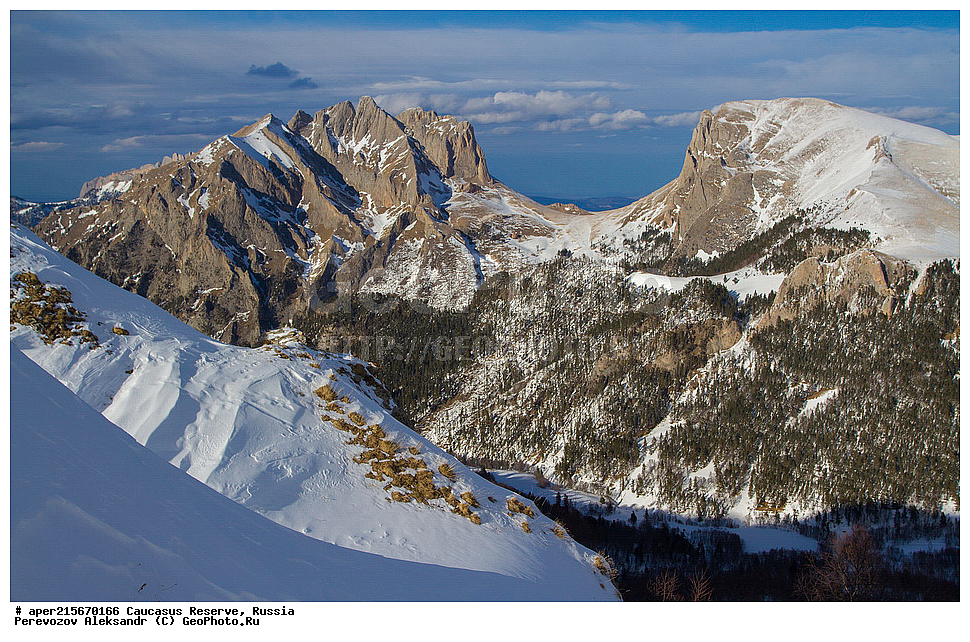 ������������� ����, ���������� ������, ���������-���������� ����������, ������, ���, ������, �������� ������, ���������� ��������������� ����������, ���������� ��������������� ��������� ���������� ���������� ����� �. �. �����������, �������, ������� ������, ����, ������, ������