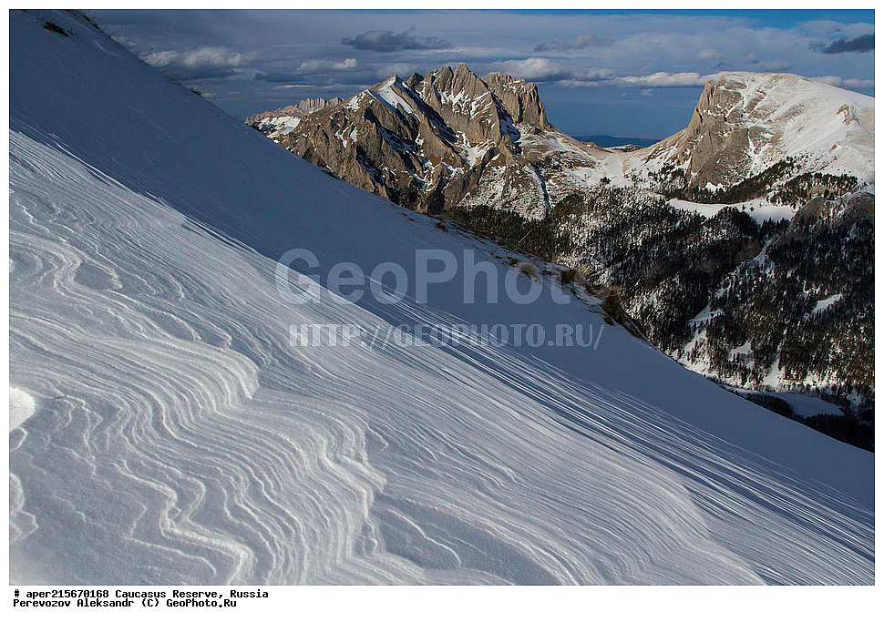 ������������� ����, ���������� ������, ���������-���������� ����������, ������, ���, ������, �������� ������, ���������� ��������������� ����������, ���������� ��������������� ��������� ���������� ���������� ����� �. �. �����������, �������, ������� ������, ����, ������, ������