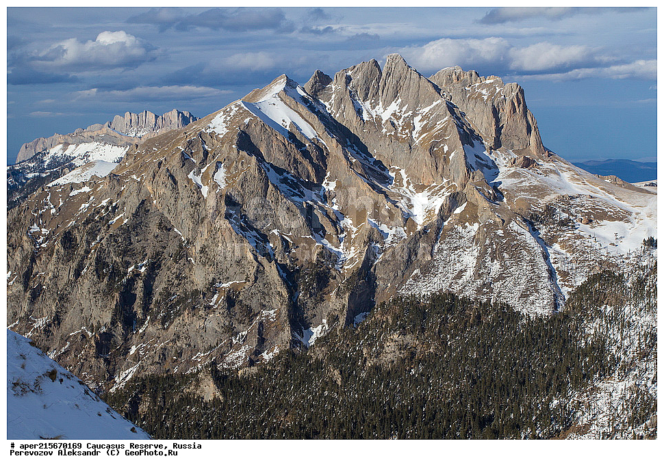 ������������� ����, ���������� ������, ���������-���������� ����������, ������, ���, ������, �������� ������, ���������� ��������������� ����������, ���������� ��������������� ��������� ���������� ���������� ����� �. �. �����������, �������, ������� ������, ����, ������, ������