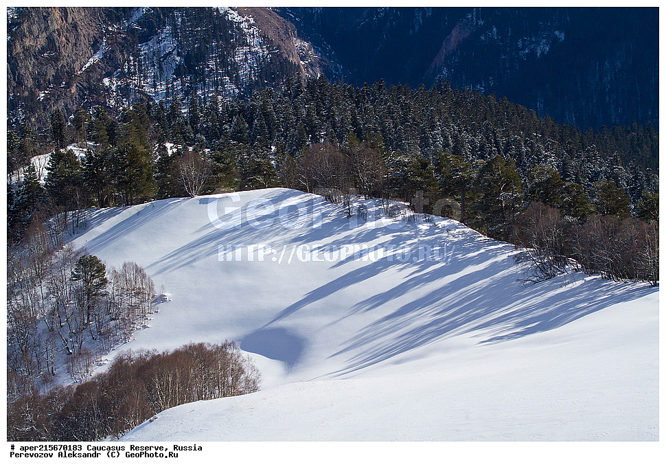 ������������� ����, ���������� ������, ���������-���������� ����������, ������, ���, ������, �������� ������, ���������� ��������������� ����������, ���������� ��������������� ��������� ���������� ���������� ����� �. �. �����������, ������, ���������� ������, ����, ������, ������