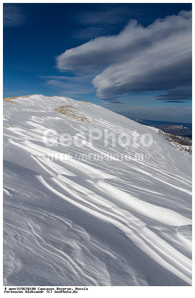 ������������� ����, ���������� ������, ���������-���������� ����������, ������, ���, ������, �������� ������, ���������� ��������������� ����������, ���������� ��������������� ��������� ���������� ���������� ����� �. �. �����������, ������, ���������� ������, ����, ������, ������