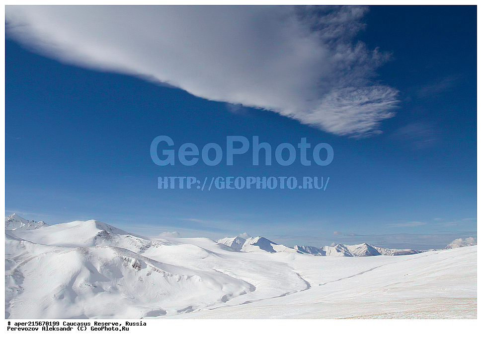 ������������� ����, ���������� ������, ���������-���������� ����������, ������, ���, ������, �������� ������, ���������� ��������������� ����������, ���������� ��������������� ��������� ���������� ���������� ����� �. �. �����������, �����, ��������, �����, �������, ���������, ���, ���������� ������, ����, ������, ������