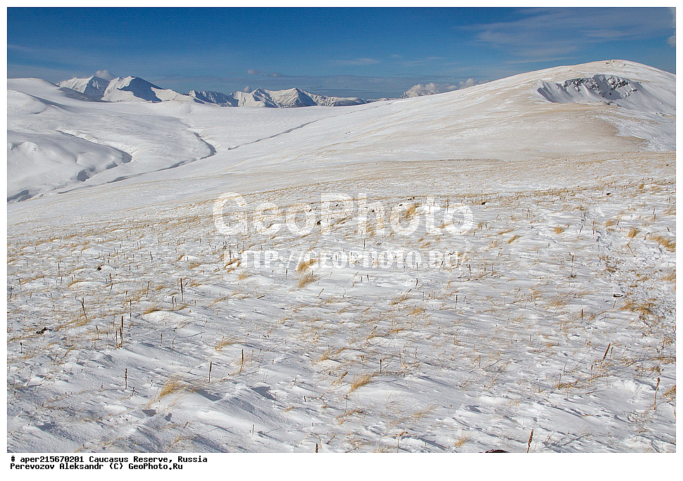 ������������� ����, ���������� ������, ���������-���������� ����������, ������, ���, ������, �������� ������, ���������� ��������������� ����������, ���������� ��������������� ��������� ���������� ���������� ����� �. �. �����������, ������, ���������� ������, ����, ������, ������