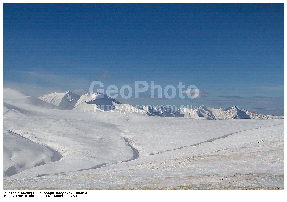 ������������� ����, ���������� ������, ���������-���������� ����������, ������, ���, ������, �������� ������, ���������� ��������������� ����������, ���������� ��������������� ��������� ���������� ���������� ����� �. �. �����������, ������, ���������� ������, ����, ������, ������