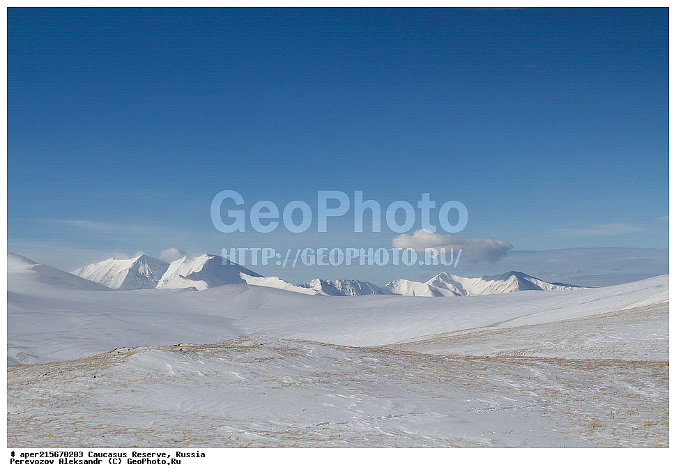 ������������� ����, ���������� ������, ���������-���������� ����������, ������, ���, ������, �������� ������, ���������� ��������������� ����������, ���������� ��������������� ��������� ���������� ���������� ����� �. �. �����������, �����, ��������, �����, �������, ���������, ���, ���������� ������, ����, ������, ������