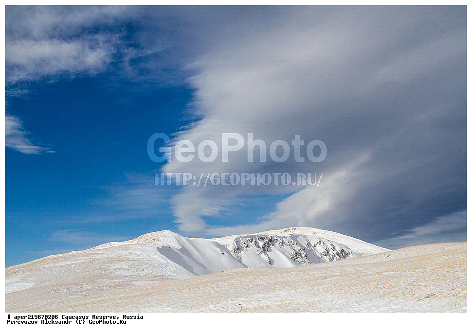 ������������� ����, ���������� ������, ���������-���������� ����������, ������, ���, ������, �������� ������, ���������� ��������������� ����������, ���������� ��������������� ��������� ���������� ���������� ����� �. �. �����������, ������, ���������� ������, ����, ������, ������