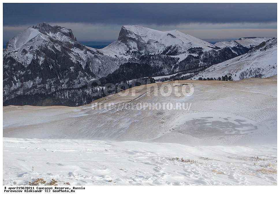 ������������� ����, ���������� ������, ���������-���������� ����������, ������, ���, ������, �������� ������, ���������� ��������������� ����������, ���������� ��������������� ��������� ���������� ���������� ����� �. �. �����������, �������, ������� ������, ����, ������, ������