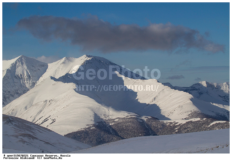 ������������� ����, ���������� ������, ���������-���������� ����������, ������, ���, ������, �������� ������, ���������� ��������������� ����������, ���������� ��������������� ��������� ���������� ���������� ����� �. �. �����������, �����, ��������, �����, �������, ���������, ���, ���������� ������, ����, ������, ������