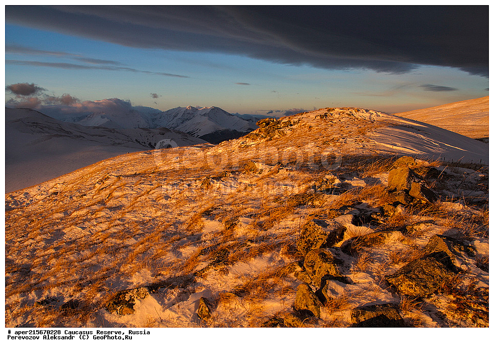 ������������� ����, ���������� ������, ���������-���������� ����������, ������, ���, ������, �������� ������, ���������� ��������������� ����������, ���������� ��������������� ��������� ���������� ���������� ����� �. �. �����������, �����, ��������, �����, �������, ���������, ���, ���������� ������, ����, ������, ������