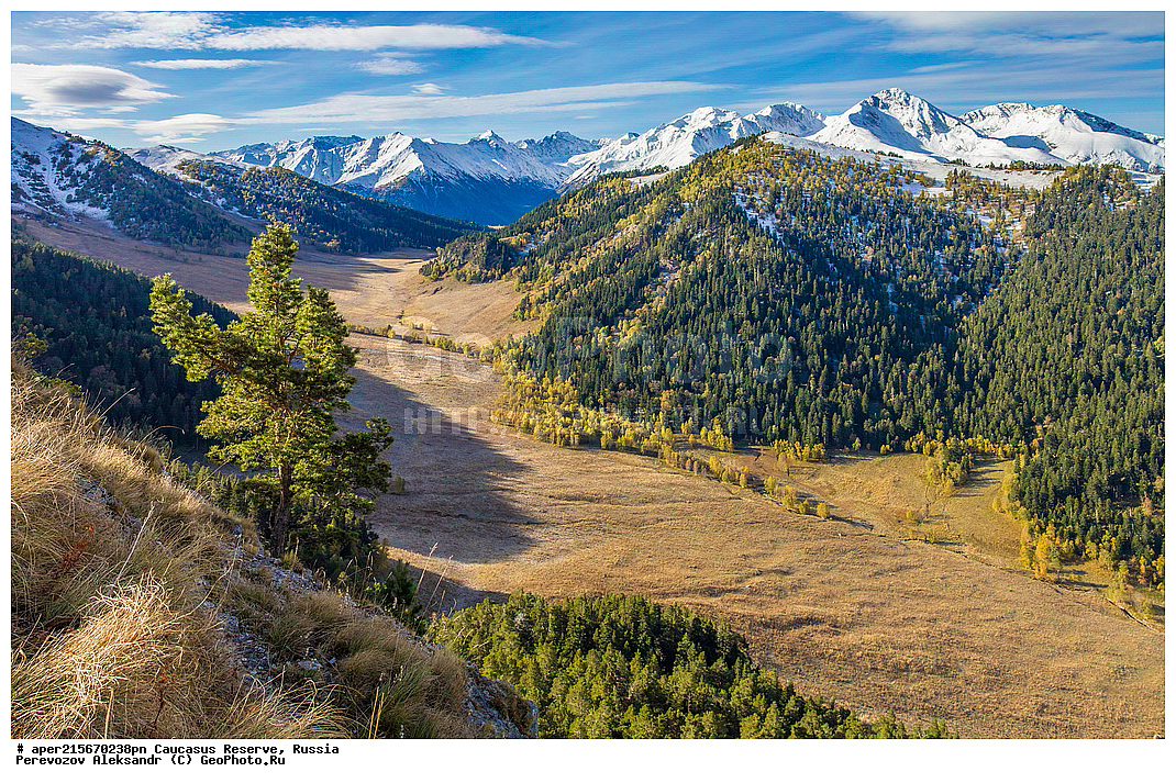 ������������� ����, ���������� ������, ���������-���������� ����������, ������, ���, ������, �������� ������, ���������� ��������������� ����������, ���������� ��������������� ��������� ���������� ���������� ����� �. �. �����������, ������������ �������, ���, ���