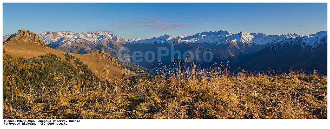 ������������� ����, ���������� ������, ���������-���������� ����������, ������, ���, ������, �������� ������, ���������� ��������������� ����������, ���������� ��������������� ��������� ���������� ���������� ����� �. �. �����������, �������, ����, ����� ����, �������� ����� ����, ������, ��������� ���������, �������, �������, �������