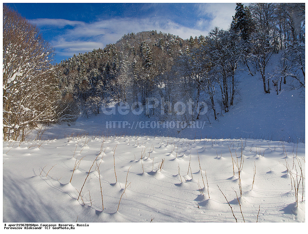 ������������� ����, ���������� ������, ���������-���������� ����������, ������, ���, ������, �������� ������, ���������� ��������������� ����������, ���������� ��������������� ��������� ���������� ���������� ����� �. �. �����������, �������� ������, ����