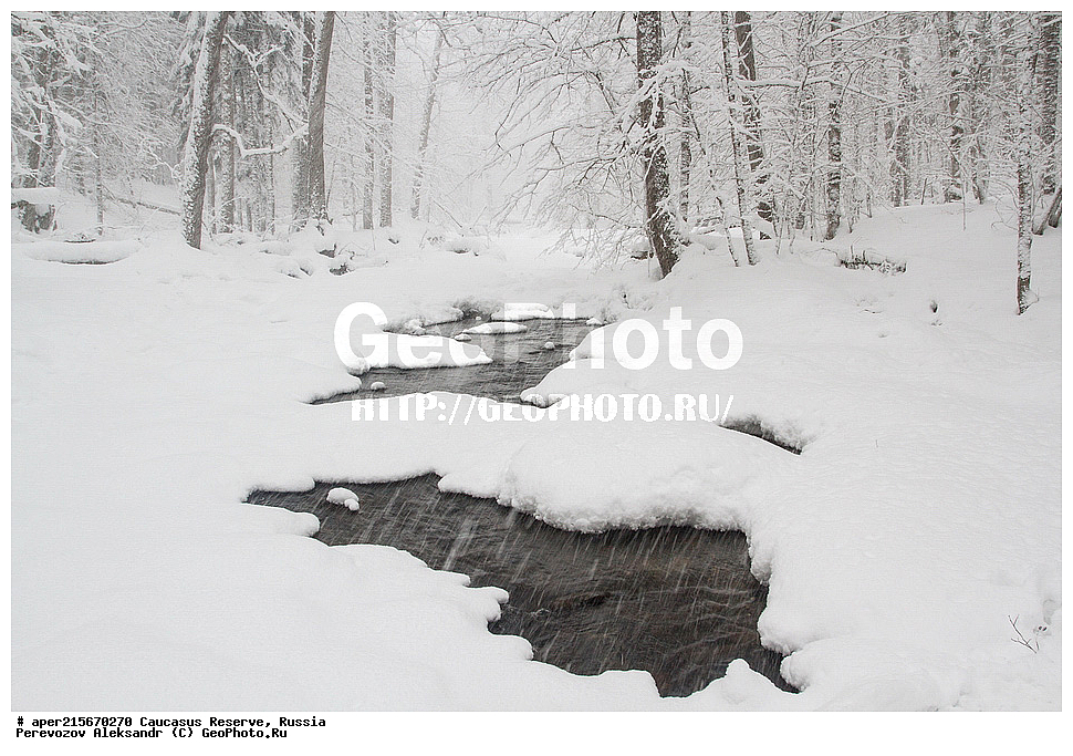 ������������� ����, ���������� ������, ���������-���������� ����������, ������, ���, ������, �������� ������, ���������� ��������������� ����������, ���������� ��������������� ��������� ���������� ���������� ����� �. �. �����������, �������, ����, �����, �������