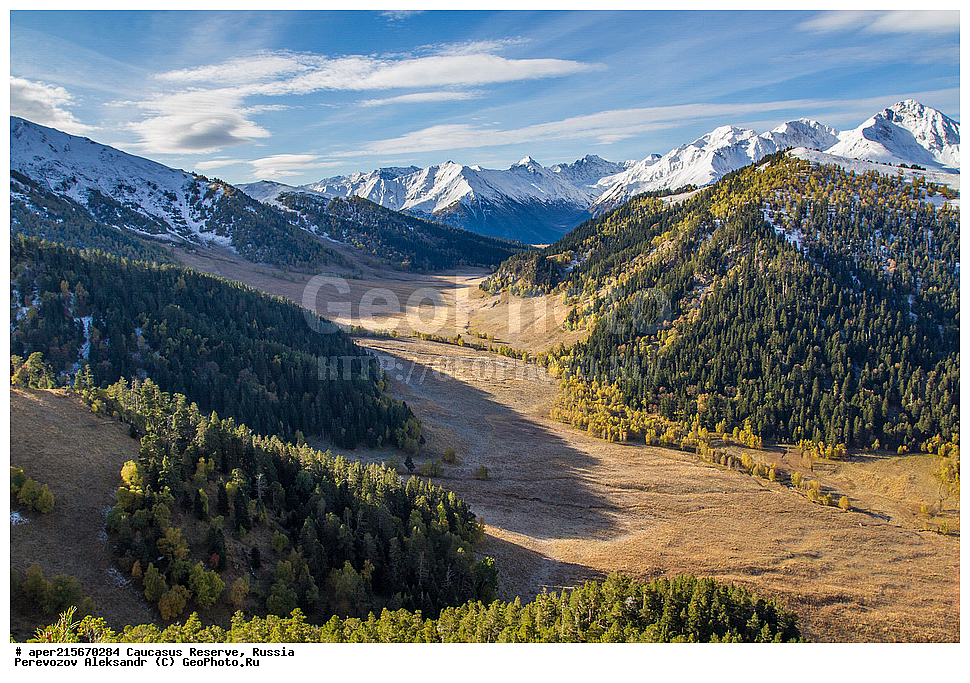 ������������� ����, ���������� ������, ���������-���������� ����������, ������, ���, ������, �������� ������, ���������� ��������������� ����������, ���������� ��������������� ��������� ���������� ���������� ����� �. �. �����������, ������������ �������, ���, ���