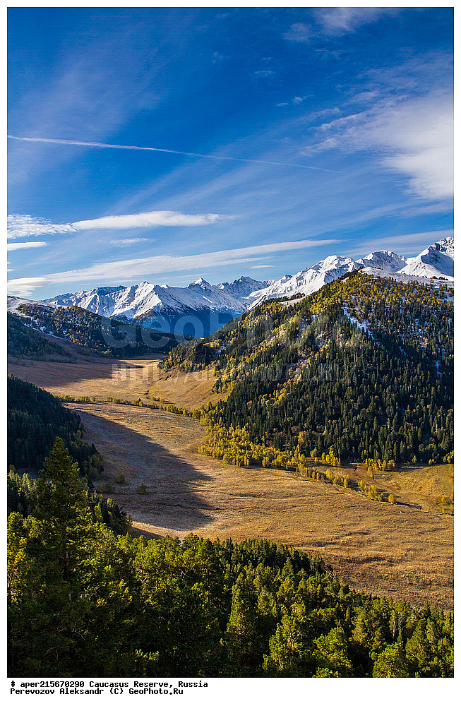 ������������� ����, ���������� ������, ���������-���������� ����������, ������, ���, ������, �������� ������, ���������� ��������������� ����������, ���������� ��������������� ��������� ���������� ���������� ����� �. �. �����������, ������������ �������, ���, ���