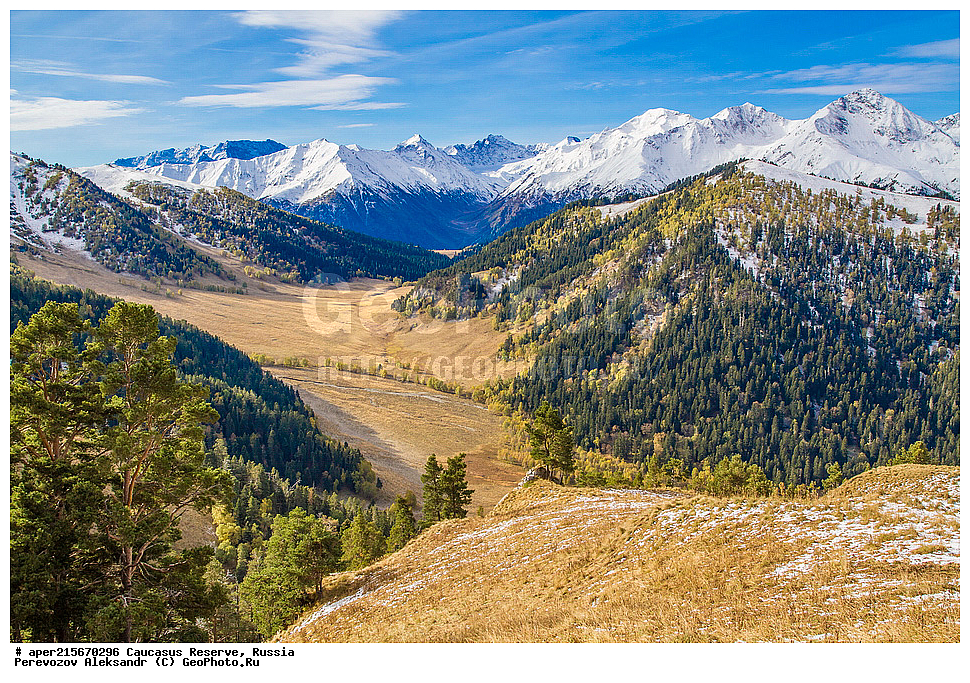 ������������� ����, ���������� ������, ���������-���������� ����������, ������, ���, ������, �������� ������, ���������� ��������������� ����������, ���������� ��������������� ��������� ���������� ���������� ����� �. �. �����������, ������������ �������, ���, ���