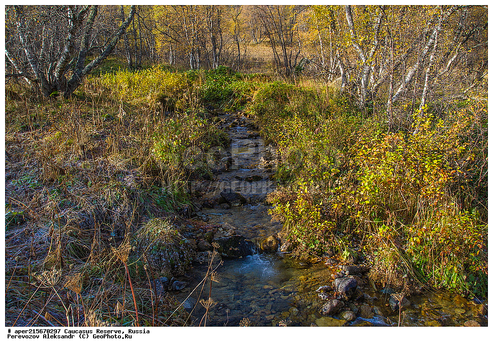 ������������� ����, ���������� ������, ���������-���������� ����������, ������, ���, ������, �������� ������, ���������� ��������������� ����������, ���������� ��������������� ��������� ���������� ���������� ����� �. �. �����������, �������, ����, ����� ����, �����