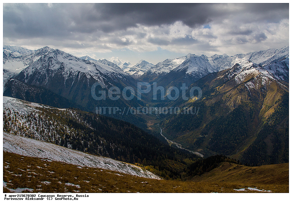 ������������� ����, ���������� ������, ���������-���������� ����������, ������, ���, ������, �������� ������, ���������� ��������������� ����������, ���������� ��������������� ��������� ���������� ���������� ����� �. �. �����������, �������, ����, ����� ����, �������� ����� ����, ������ �������, ������, ��������, �����