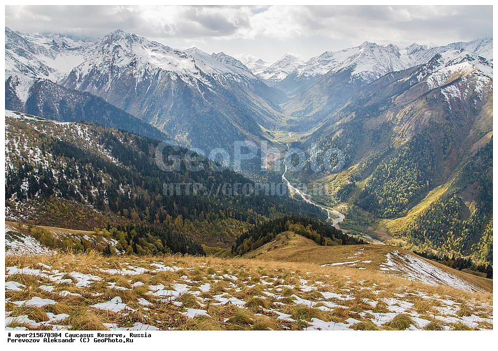 ������������� ����, ���������� ������, ���������-���������� ����������, ������, ���, ������, �������� ������, ���������� ��������������� ����������, ���������� ��������������� ��������� ���������� ���������� ����� �. �. �����������, �������, ����, ����� ����, �������� ����� ����, ������ �������, ������, ��������, �����