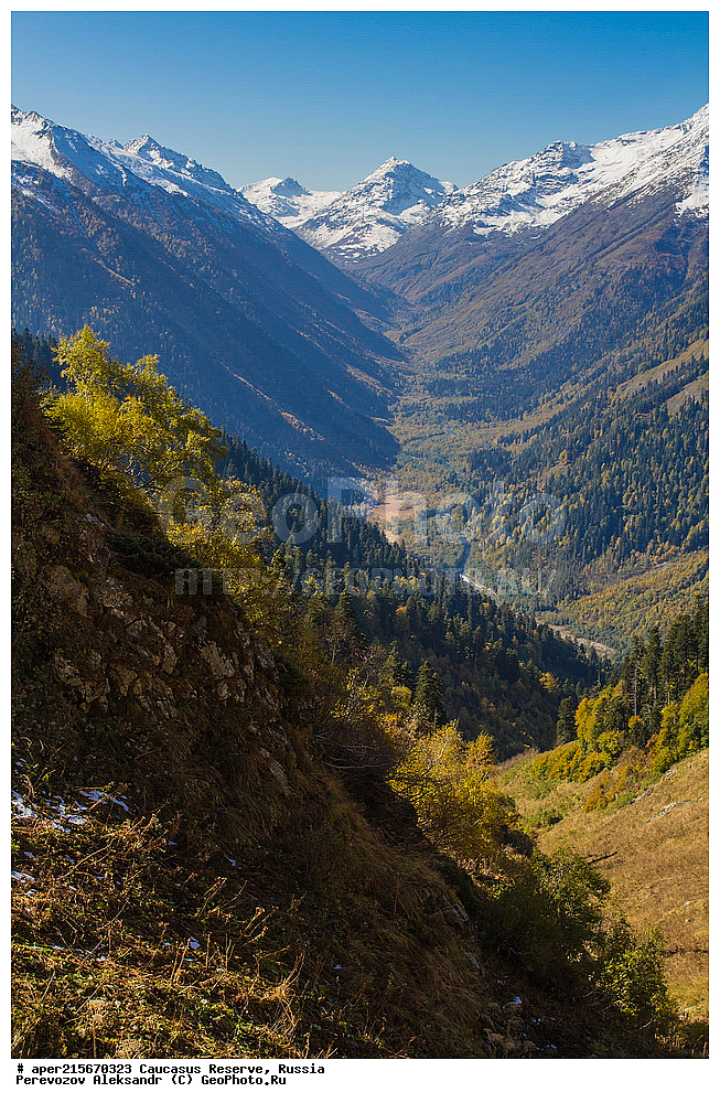 ������������� ����, ���������� ������, ���������-���������� ����������, ������, ���, ������, �������� ������, ���������� ��������������� ����������, ���������� ��������������� ��������� ���������� ���������� ����� �. �. �����������, �������, ����, ����� ����, �������� ����� ����, ������ �������, ������, ��������, �����