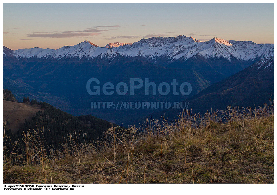 ������������� ����, ���������� ������, ���������-���������� ����������, ������, ���, ������, �������� ������, ���������� ��������������� ����������, ���������� ��������������� ��������� ���������� ���������� ����� �. �. �����������, �������, ����, ����� ����, �������� ����� ����, ������, ��������� ���������, �������, �������, �������