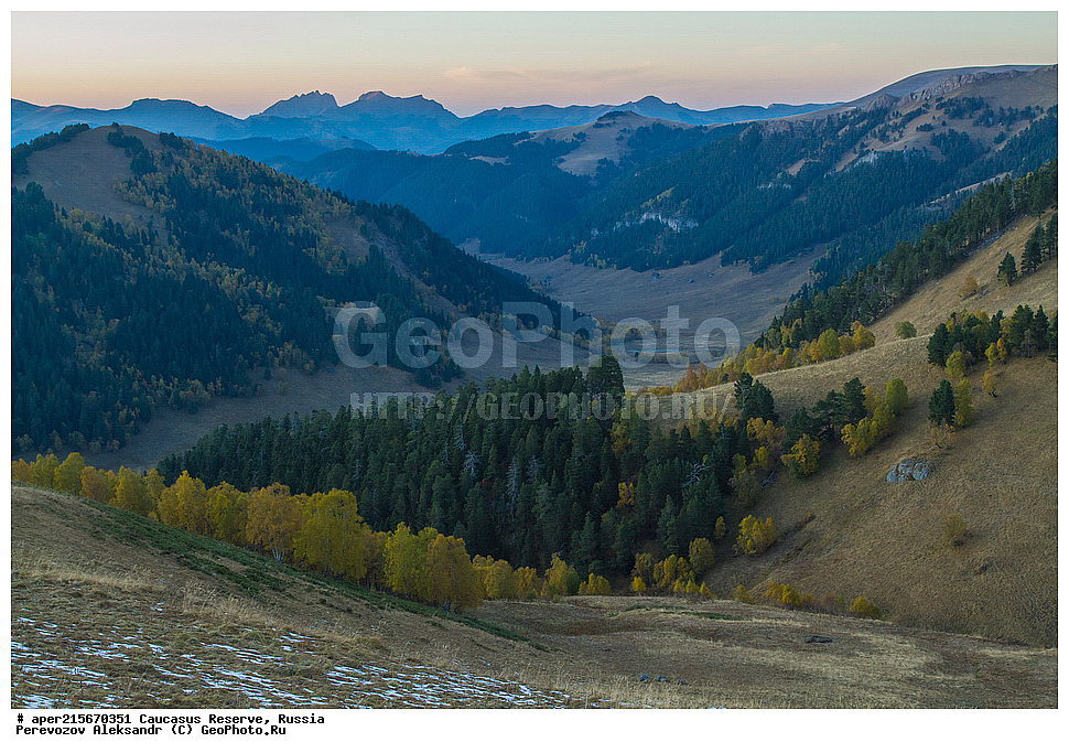 ������������� ����, ���������� ������, ���������-���������� ����������, ������, ���, ������, �������� ������, ���������� ��������������� ����������, ���������� ��������������� ��������� ���������� ���������� ����� �. �. �����������, ������������ �������, ���, ������, ����������, �����