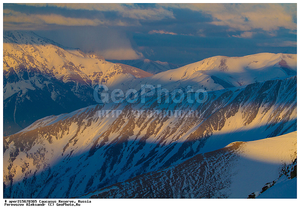 ������������� ����, ���������� ������, ���������-���������� ����������, ������, ���, ������, �������� ������, ���������� ��������������� ����������, ���������� ��������������� ��������� ���������� ���������� ����� �. �. �����������, �������� �������, ���, �����