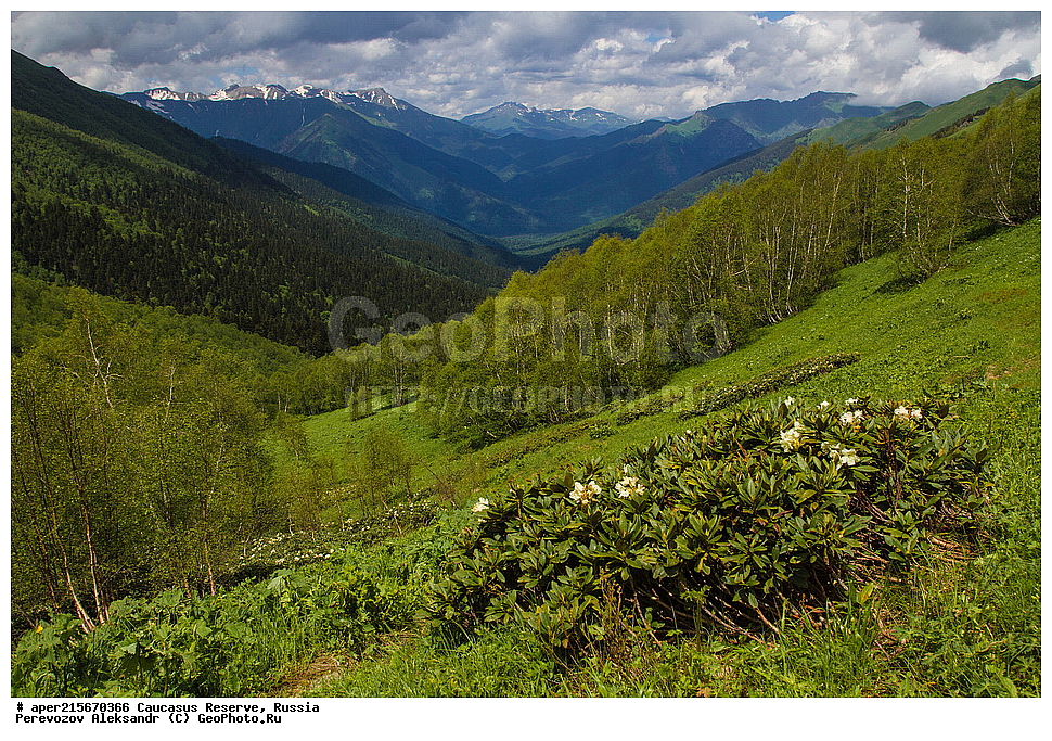 ������������� ����, ���������� ������, ���������-���������� ����������, ������, ���, ������, �������� ������, ���������� ��������������� ����������, ���������� ��������������� ��������� ���������� ���������� ����� �. �. �����������, �������, ����, ����� ����, �������� ����� ����, ������, ������