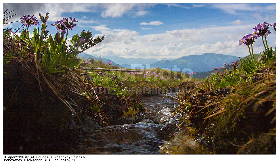 ������������� ����, ���������� ������, ���������-���������� ����������, ������, ���, ������, �������� ������, ���������� ��������������� ����������, ���������� ��������������� ��������� ���������� ���������� ����� �. �. �����������, �������, ����, ����� ����, �������