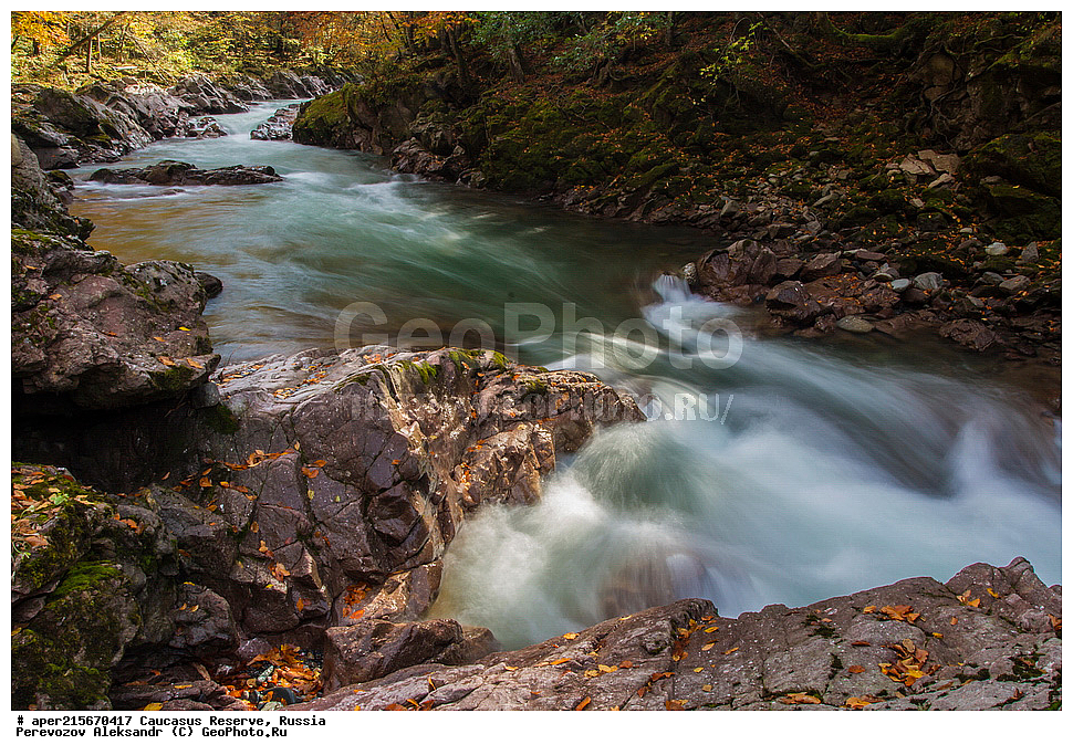 ������������� ����, ���������� ������, ���������-���������� ����������, ������, ���, ������, �������� ������, ���������� ��������������� ����������, ���������� ��������������� ��������� ���������� ���������� ����� �. �. �����������, �������, ����, �����, ������� ����