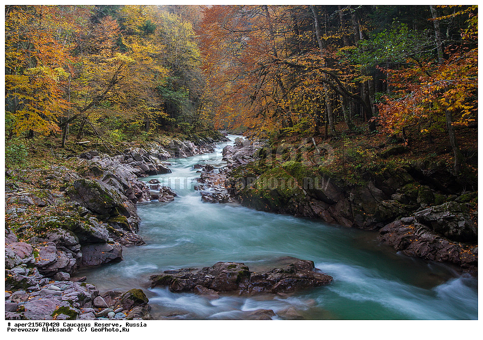 ������������� ����, ���������� ������, ���������-���������� ����������, ������, ���, ������, �������� ������, ���������� ��������������� ����������, ���������� ��������������� ��������� ���������� ���������� ����� �. �. �����������, �������, ����, �����, ������� ����