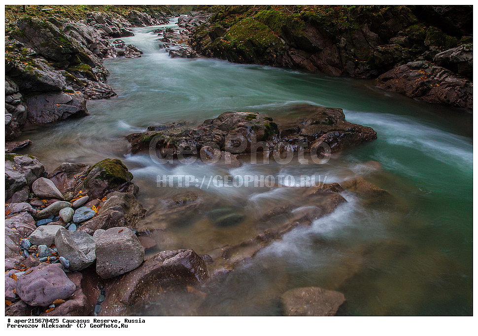 ������������� ����, ���������� ������, ���������-���������� ����������, ������, ���, ������, �������� ������, ���������� ��������������� ����������, ���������� ��������������� ��������� ���������� ���������� ����� �. �. �����������, �������, ����, �����, ������� ����