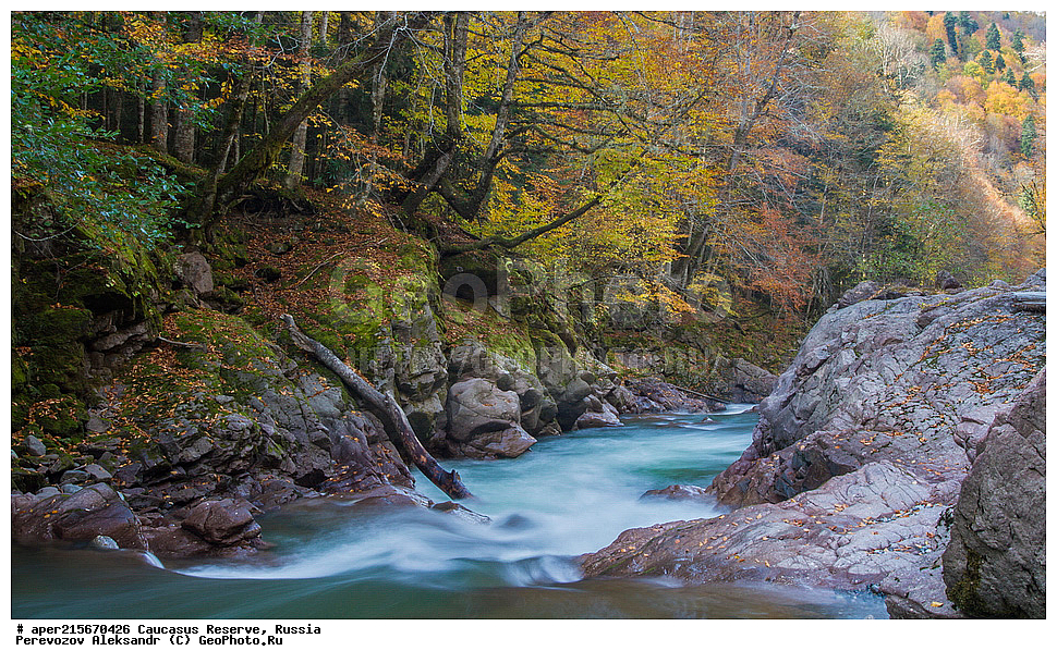 ������������� ����, ���������� ������, ���������-���������� ����������, ������, ���, ������, �������� ������, ���������� ��������������� ����������, ���������� ��������������� ��������� ���������� ���������� ����� �. �. �����������, �������, ����, �����, ������� ����