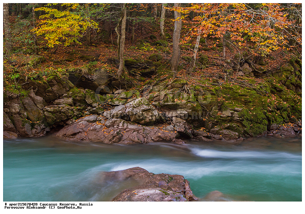 ������������� ����, ���������� ������, ���������-���������� ����������, ������, ���, ������, �������� ������, ���������� ��������������� ����������, ���������� ��������������� ��������� ���������� ���������� ����� �. �. �����������, �������, ����, �����, ������� ����