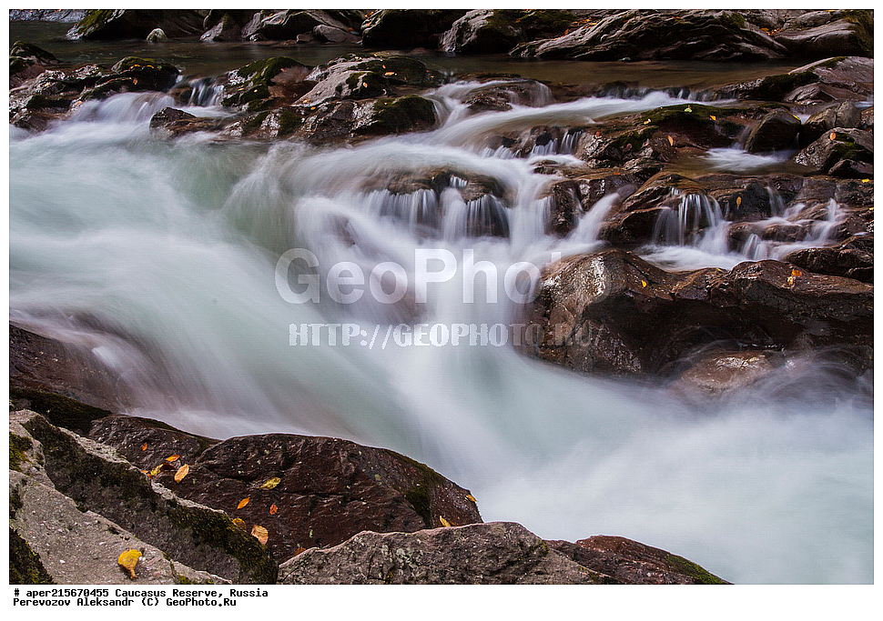 ������������� ����, ���������� ������, ���������-���������� ����������, ������, ���, ������, �������� ������, ���������� ��������������� ����������, ���������� ��������������� ��������� ���������� ���������� ����� �. �. �����������, �������, ����, �����, ������� ����