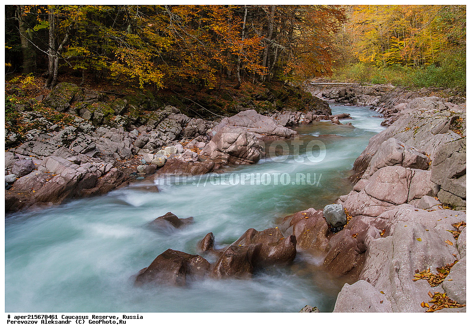 ������������� ����, ���������� ������, ���������-���������� ����������, ������, ���, ������, �������� ������, ���������� ��������������� ����������, ���������� ��������������� ��������� ���������� ���������� ����� �. �. �����������, �������, ����, �����, ������� ����