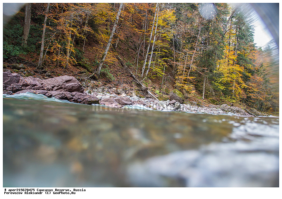 ������������� ����, ���������� ������, ���������-���������� ����������, ������, ���, ������, �������� ������, ���������� ��������������� ����������, ���������� ��������������� ��������� ���������� ���������� ����� �. �. �����������, �������, ����, �����, ������� ����