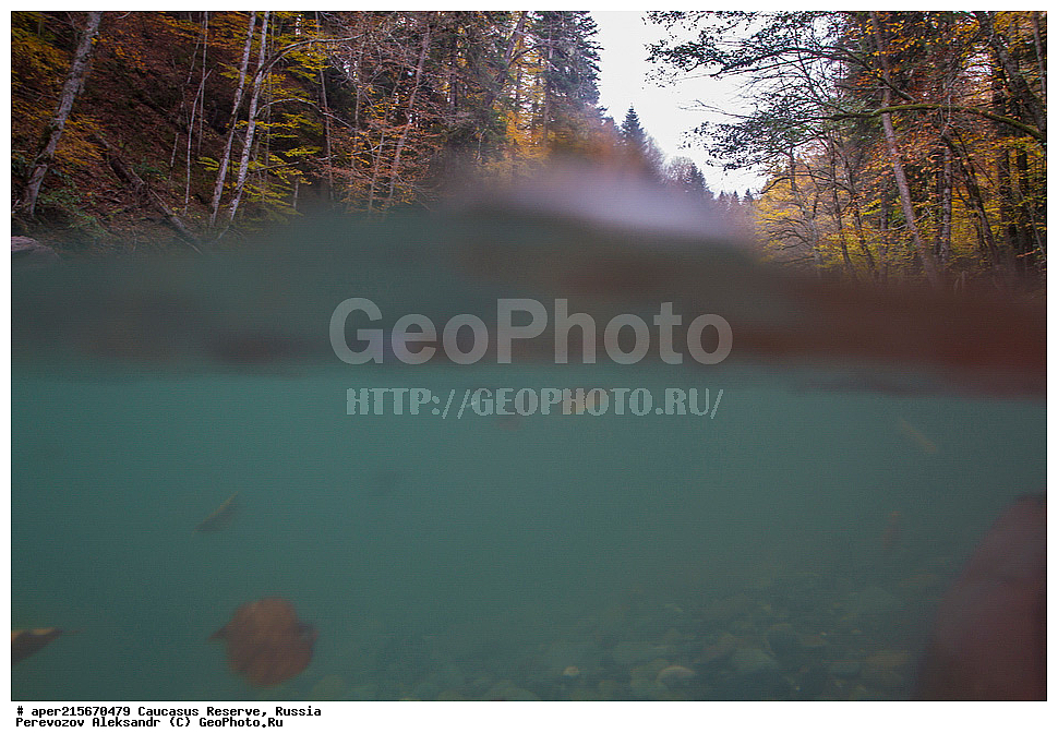 ������������� ����, ���������� ������, ���������-���������� ����������, ������, ���, ������, �������� ������, ���������� ��������������� ����������, ���������� ��������������� ��������� ���������� ���������� ����� �. �. �����������, �������, ����, �����, ������� ����