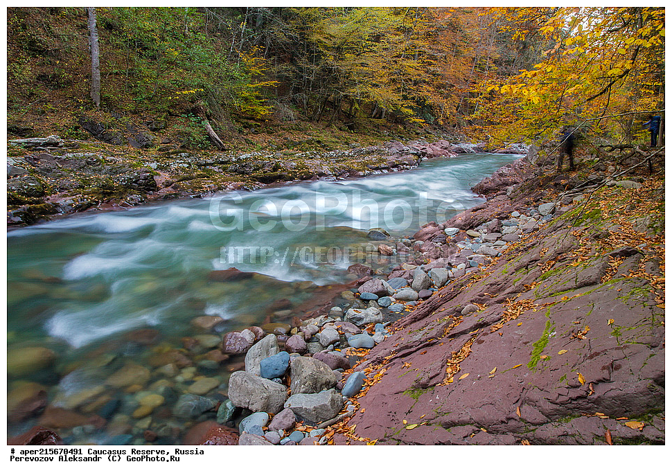 ������������� ����, ���������� ������, ���������-���������� ����������, ������, ���, ������, �������� ������, ���������� ��������������� ����������, ���������� ��������������� ��������� ���������� ���������� ����� �. �. �����������, �������, ����, �����, ������� ����