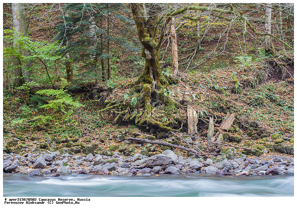 ������������� ����, ���������� ������, ���������-���������� ����������, ������, ���, ������, �������� ������, ���������� ��������������� ����������, ���������� ��������������� ��������� ���������� ���������� ����� �. �. �����������, �������, ����, �����, ������� ����