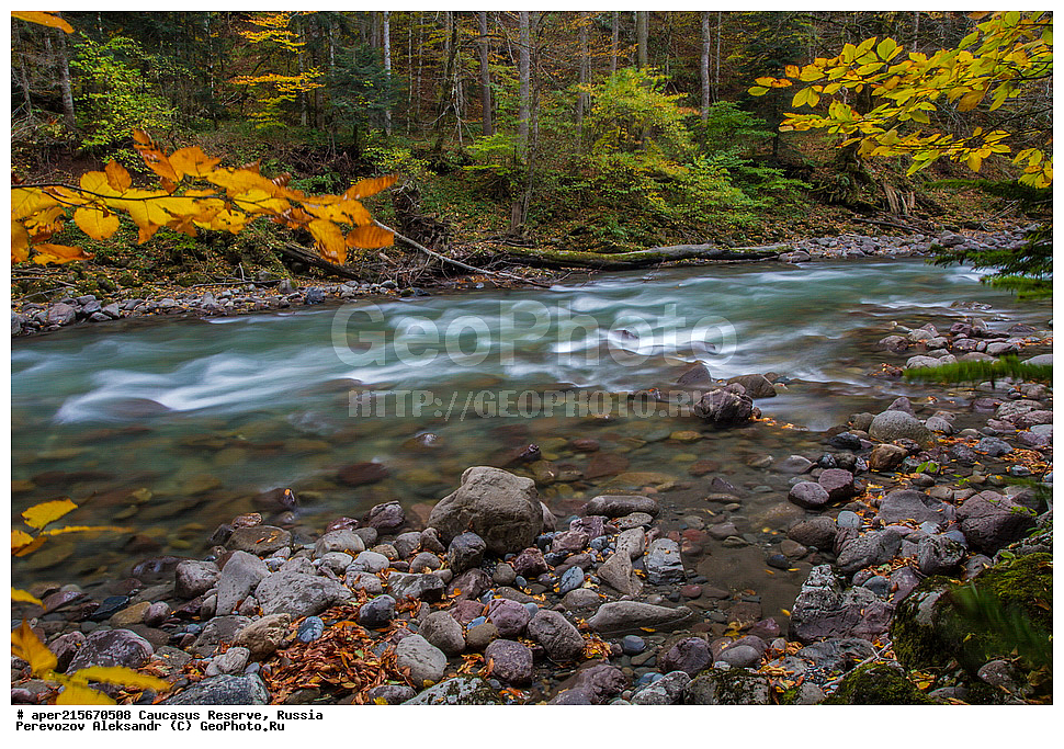 ������������� ����, ���������� ������, ���������-���������� ����������, ������, ���, ������, �������� ������, ���������� ��������������� ����������, ���������� ��������������� ��������� ���������� ���������� ����� �. �. �����������, �������, ����, �����, ������� ����